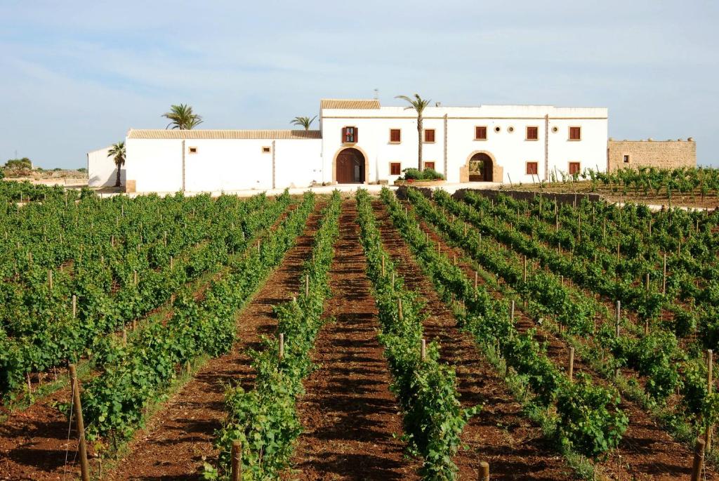 Agriturismo Baglio Donnafranca Wine Resort