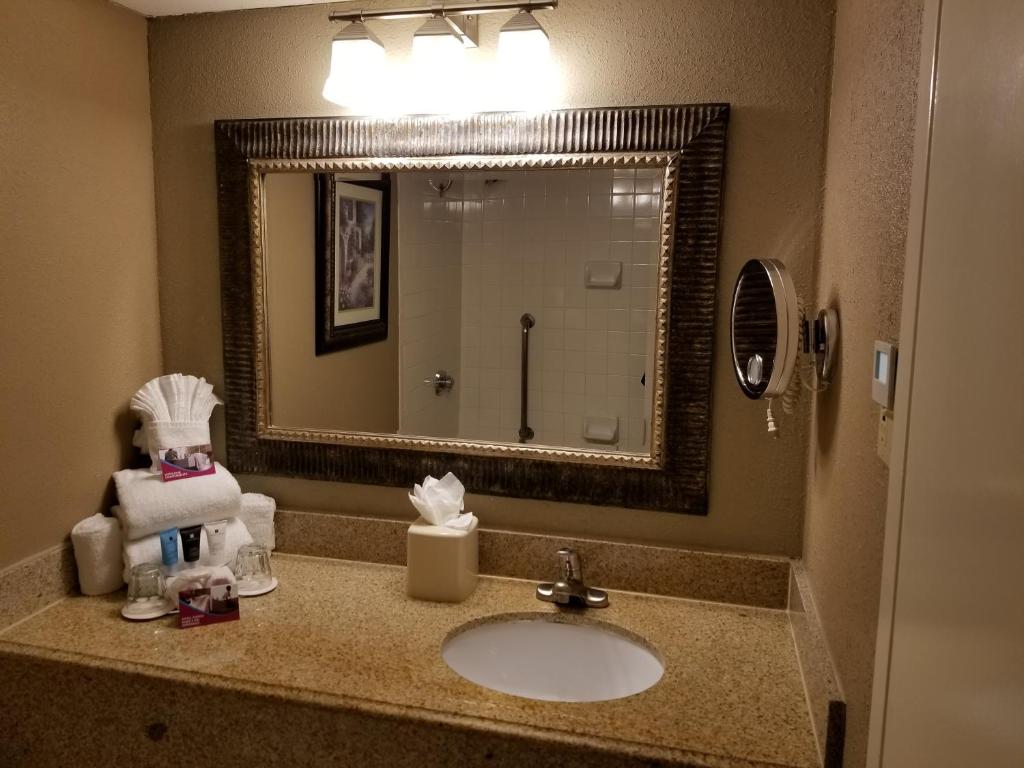 Wyndham Houston near NRG Park - Medical Center