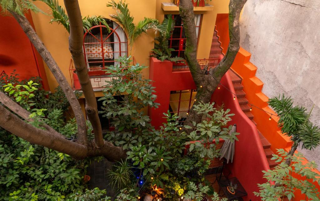 The Red Tree House